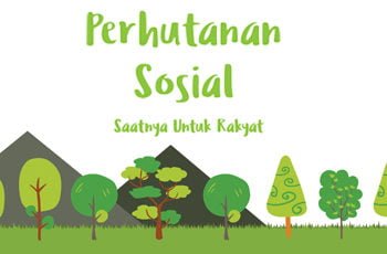 Perhutanan Sosial Capai 2,6 Juta Hektare