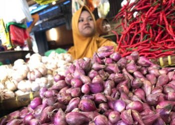 LAMPUNG POST