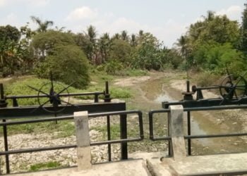 Saluran Irigasi. (DOKUMENTASI LAMPUNG POST)