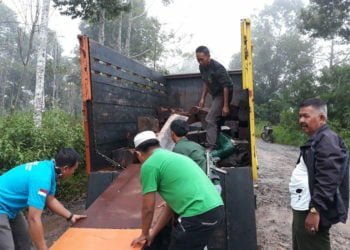 AMANKAN KAYU SONOKELING. Sejumlah petugas tim gabungan menurunkan sejumlah kayu sonokeling dari truk Colt Diesel di Umbul Kuyung, kawasan hutan lindung Register 39 Kotaagung Utara, Kamis (16/5). Kayu-kayu tersebut merupakan hasil pembalakan liar. (DOKUMENTASI KPH KOTAAGUNG UTARA)