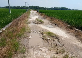 RUSAK. Kondisi ruas jalan penghubung Desa Margasari dan Mandalasari, Kecamatan Sragi, Lampung Selatan, yang rusak parah, Minggu (19/5). Warga minta Pemkab Lamsel memperbaikinya. (LAMPUNG POST/ARMANSYAH)