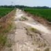 RUSAK. Kondisi ruas jalan penghubung Desa Margasari dan Mandalasari, Kecamatan Sragi, Lampung Selatan, yang rusak parah, Minggu (19/5). Warga minta Pemkab Lamsel memperbaikinya. (LAMPUNG POST/ARMANSYAH)
