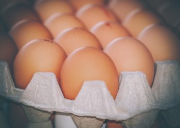 Ilustrasi. (LAMPUNG POST/PIXABAY)