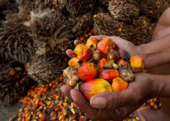 Praktik Ekspor CPO Berkedok POME Bisa Dijerat Pidana