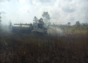 KEMARAU. Tim kebakaran hutan Taman Nasional Way Kambas (TNWK) memadamkan api di seksi III, Kualapenet, Lampung Timur, saat kebakaran melanda pada musim kemarau beberapa waktu yang lalu. Guna mengantisipasi kebakaran lahan pada musim kemarau Pemkab Lampung Timur membentuk tim reaksi cepat (TRC).
n DOK LAMPUNG POST