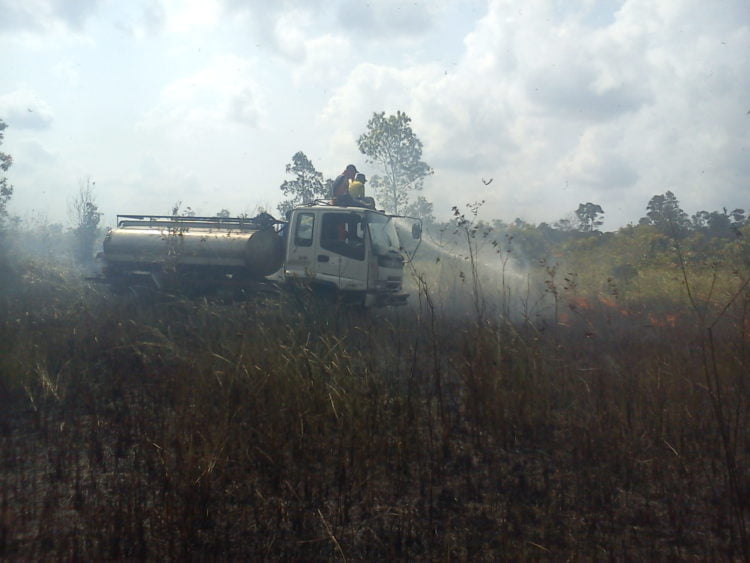KEMARAU. Tim kebakaran hutan Taman Nasional Way Kambas (TNWK) memadamkan api di seksi III, Kualapenet, Lampung Timur, saat kebakaran melanda pada musim kemarau beberapa waktu yang lalu. Guna mengantisipasi kebakaran lahan pada musim kemarau Pemkab Lampung Timur membentuk tim reaksi cepat (TRC).
n DOK LAMPUNG POST