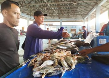 ilustrasi/Lampungpost.id