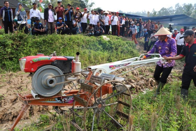 COBA TRAKTOR TANGAN. Bupati Lampung Barat Parosil Mabsus mencoba traktor tangan saat penyerahan bantuan sarana pertanian kepada kelompok tani di Pekon Buay Nyerupa, Kecamatan Sukau, Rabu (31/7). Bantuan yang disalurkan Pemkab diharapkan dapat meningkatkan kesejahteraan petani. (DOKUMENTASI HUMAS PEMKAB LAMBAR)