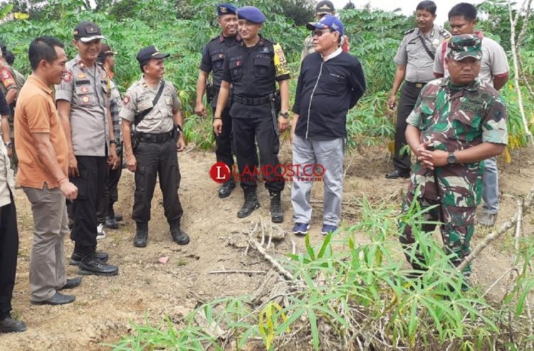 Plt Bupati Mesuji Saply TH bersama Dandim 0426 Letkol Inf Kohir dan Wakapolres Mesuji tinjau lokasi bentrok di Register 45. (Foto: Lampost/Ridwan Anas)