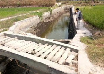 BELUM OPTIMAL. Kondisi bangunan embung di Desa Bangunan, Kecamatan Palas, Lampung Selatan, Selasa (16/7). Embung tersebut belum maksimal menampung air saat musim kemarau. (LAMPUNG POST/ARMANSYAH)