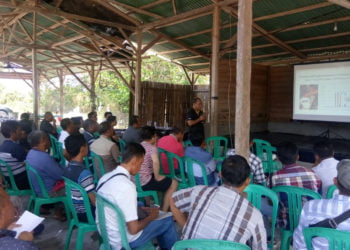 DISKUSI UDANG. Forum Komunikasi Praktisi Aquaculture (FKPA) menyelenggarakan kegiatan diskusi budi daya udang di tambak udang Pekon Biha, Kecamatan Pesisir Selatan Pesisir Barat, Rabu (24/7). Kegiatan bertujuan meningkatkan produktivitas tambak serta mencari solusi budi daya yang baik dan benar. (LAMPUNG POST/YON FISOMA)
