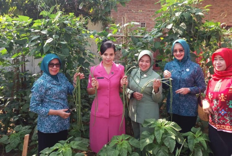 EDUKASI SAYUR-BUAH. Ketua Tim Penggerak PKK Lampung Tengah Ellya Lusiana Loekman bersama sejumlah istri pejabat teras Kabupaten Lampung Tengah saat menunjukkan sayuran yang berasal dari kebun yang dikelola kelompok wanita tani (KWT) Kampung Rengas, Kecamatan Bekri, Rabu (17/7). Lokasi tersebut diresmikan sebagai Kampung Wisata Edukasi Sayur dan Buah. (DOKUMENTASI HUMAS PEMKAB LAMTENG)