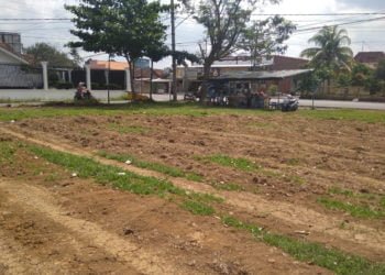 TIDAK JELAS. Lapangan sepak bola di Kelurahan Hadimulyo Barat yang terlihat gersang usai diratakan, Senin (22/7). Lapangan tersebut dalam tahap renovasi usai dibuldoser dua pekan lalu tapi hingga kini belum ada kelanjutannya. (LAMPUNG POST/SUPRAYOGI )