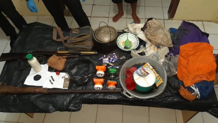 DPO Pemburu Pelanduk Napu Dibekuk