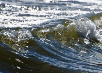 Ilustrasi. (LAMPUNG POST/PIXABAY)