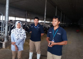 BERI PENJELASAN. Penanggung jawab peternakan sapi perah GGLC, Anggun, didampingi dua stafnya memaparkan proses menghasilakn susu murni di peternakan sapi perah yang dikelola Great Giant Livestock Company (GGLC) di Terbanggibesar, Rabu (3/7). (LAMPUNG POST/WAHYU B PAMUNGKAS)