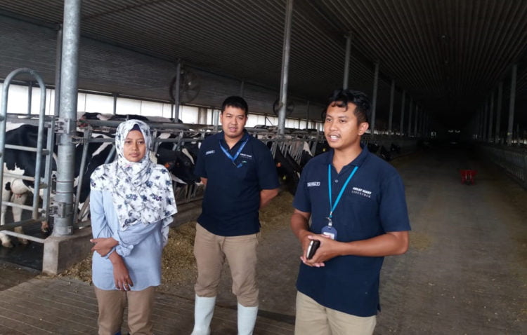 BERI PENJELASAN. Penanggung jawab peternakan sapi perah GGLC, Anggun, didampingi dua stafnya memaparkan proses menghasilakn susu murni di peternakan sapi perah yang dikelola Great Giant Livestock Company (GGLC) di Terbanggibesar, Rabu (3/7). (LAMPUNG POST/WAHYU B PAMUNGKAS)
