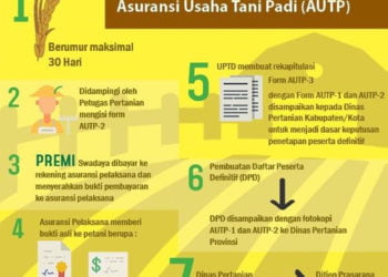 Ilustrasi. (GOOGLE IMAGE)