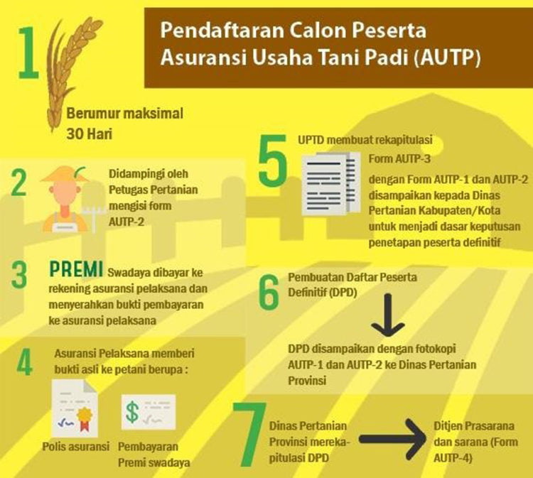 Ilustrasi. (GOOGLE IMAGE)