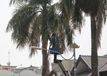 PEMANGKASAN POHON. Dinas Kerbersihan dan Pertamanan Kota Bandar Lampung memangkas dahan pohon di Jalan Raden Intan, Bandar Lampung, Rabu (7/8). Hal tersebut dilakukan agar dahan pohon tersebut tidak jatuh menimpa warga akibat angin kencang.
Lampung post/ ikhsan dwi nur satrio