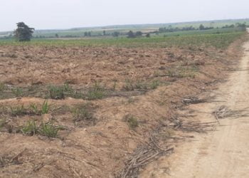 Kelompok Mitra Register 45 Minta Perlindungan