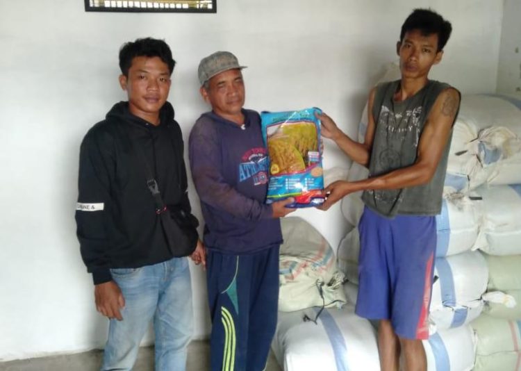 89 Poktan di Palas Terima Bantuan Benih Padi