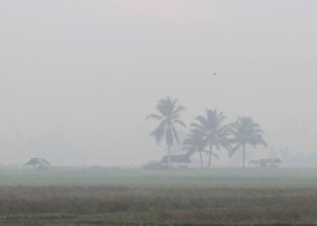 Karhutla -- Kabut asap akibat Karhutla terlihat di area persawahan Desa Cot Amun, Kecamatan Samatiga, Aceh Barat, Aceh, Selasa (6/8) (ANTARA/Syifa Yulinnas)