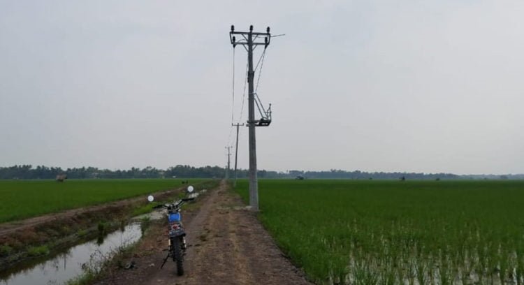 listrik pertanian di wilayah Desa Baliagung, Kecamatan Palas, Lampung Selatan, yang terhenti, Senin (27/8). Terhentinya pemasangan karena PLN menunggu peralatan dari pusat. (LAMPUNG POST/ARMANSYAH)