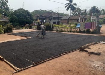 MENJERIT. Seorang petani lada di Kotabumi Tengah Barat, Kecamatan Kotabumi, Lampung Utara, sedang membalik jemuran lada hitam di pekarangan rumah, Rabu (7/8). Harga jual lada hitam di tingkat petani kurang menguntungkan. (LAMPUNG POST/FAJAR NOFITRA)