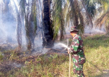 PADAMKAN LAHAN TERBAKAR. Danramil Mesuji Mayor Kav AR Chaerul memimpin langsung proses pemadaman api yang membakar lahan PT BSMI, Sabtu (24/8). Warga diajak untuk tidak membakar lahan untuk alasan apa pun. (LAMPUNG POST/RIDWAN ANAS)
