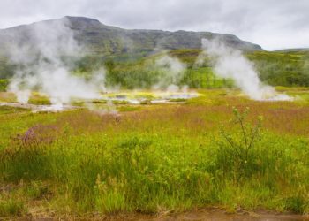 Ilustrasi. (LAMPUNG POST/PIXABAY)