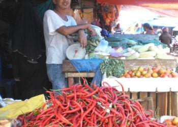 TERUS NAIK. Harga cabai rawit di pesisir timur Kabupaten Lampung Selatan menembus Rp100 ribu per kilogram, Minggu (11/8). (LAMPUNG POST/AAN KRIDOLAKSONO)