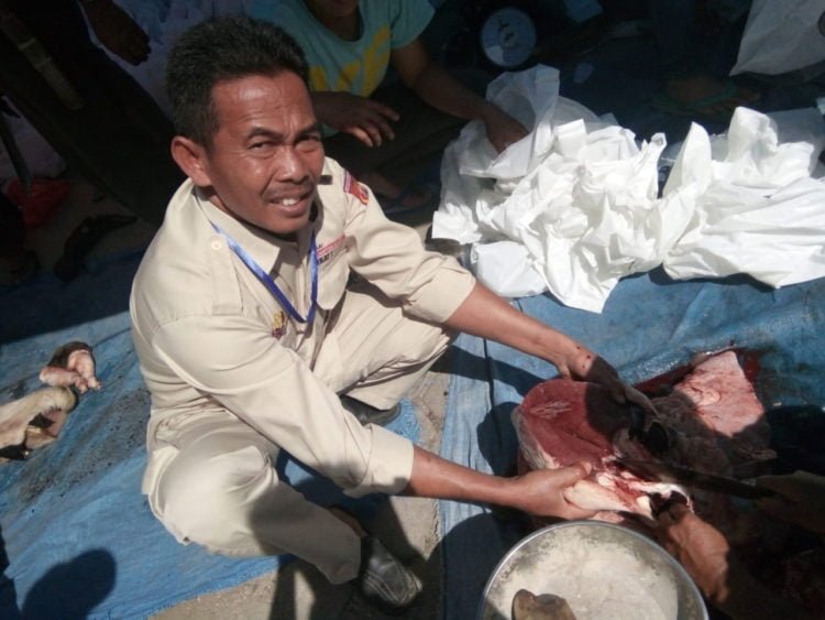 CACING HATI. Petugas Dinas Perkebunan dan Peternakan Lampung Barat saat memeriksa kesehatan daging kurban, Minggu (11/8). Dari sejumlah lokasi penyembelihan ditemukan lima ekor sapi yang mengandung cacing hati. (DOKUMENTASI DISBUNNAK LAMBAR)