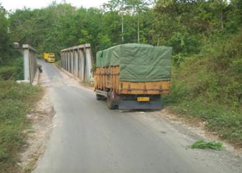 MASIH MELINTAS. Truk pengangkut batu bara masih melintas jalan kabupaten yang berada di Way Kanan. Kondisi tersebut membuat masyarakat khawatir jalan akan makin cepat rusak. (DOKUMENTASI WARGA)