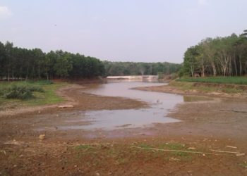 CEKDAM MENGERING. Kondisi bendungan cekdam Trimodadi di Desa Trimodadi, Kecamatan Abung Selatan, Lampung Utara, yang telah mulai mengering menyisakan endapan lumpur dan sedikit genangan air, Selasa (9/9). LAMPUNG POST/YUDHI HARDIYANTO