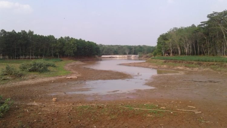 CEKDAM MENGERING. Kondisi bendungan cekdam Trimodadi di Desa Trimodadi, Kecamatan Abung Selatan, Lampung Utara, yang telah mulai mengering menyisakan endapan lumpur dan sedikit genangan air, Selasa (9/9). LAMPUNG POST/YUDHI HARDIYANTO