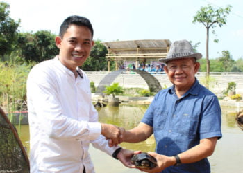 SERAHKAN KURA-KURA. Kepala SMK Muhammadiyah Tumijajar (Mutu) Syamsul Hidayat (kiri) menyerahkan kura-kura kepada Wakil Bupati Tulangbawang Barat Fauzi Hasan untuk ditangkarkan di Taman Bejuqeu Pulungkencana, Jumat (30/8). Hibah tersebut sebagai dukungan SMK Mutu atas pengembangan wisata di Tubaba. (LAMPUNG POST/AHMAD SOBIRIN)