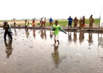 TAHAN AIR ASIN. Beberapa petani saat menebar benih langsung (tabela) varietas padi tahan air asin di areal lahan Desa Bandanhurip, Kecamatan Palas, Lampung Selatan, Selasa (3/9). Metode ini merupakan terobosan untuk menghadapi adanya pasang air laut. (LAMPUNG POST/ARMANSYAH)