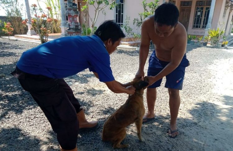 SUNTIK VAKSIN. Petugas UPTD Puskeswan Kecamatan Palas-Sragi, Lampung Selatan, memberikan suntikan vaksin rabies di Desa Sumberagung, Kecamatan Sragi, Kamis (12/9). LAMPUNG POST/ ARMANSYAH