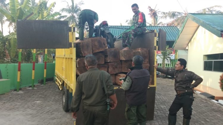 Kayu Hasil Pembalakan Diangkut lewat Jalur Khusus
