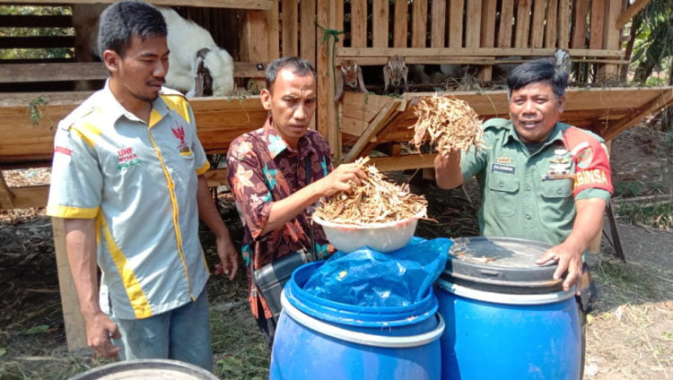 PAKAN FERMENTASI. Babinsa Koramil Sidomulyo Sertu Zulkarnain didampingi Kades Seloretno Achmad Subari mempraktikkan pembuatan pakan fermentasi. Pakan tersebut bisa menjadi alternatif peternak dalam mengatasi kesulitan mendapatkan pakan daun hijau. (LAMPUNG POST/PERDHANA WIBYSONO)