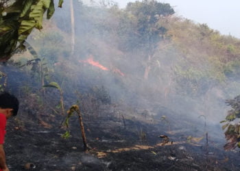 KARHUTLA. Kebakaran hutan dan lahan (karhutla) melanda Pematang Liang, Desa Persiapan Dantar, Kecamatan Padangcermin, Pesawaran, Senin (30/9). Tampak api yang membakar lahan kering yang berada di pinggir jalan. (DOKUMENTASI WARGA)
