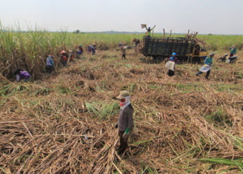 ANTARA FOTO/Dedhez Anggara/pd/17.