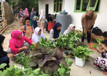 SAYUR HIDROPONIK. Tim pengabdian masyarakat Unila menunjukkan sayur hidroponik kepada pengajar dan orang tua siswa Taman Pendidikan Alquran Darrul Islam, di Dusun Sindangsari, Natar, Lampung Selatan, akhir pekan lalu.  (ISTIMEWA)