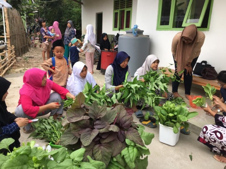 SAYUR HIDROPONIK. Tim pengabdian masyarakat Unila menunjukkan sayur hidroponik kepada pengajar dan orang tua siswa Taman Pendidikan Alquran Darrul Islam, di Dusun Sindangsari, Natar, Lampung Selatan, akhir pekan lalu.  (ISTIMEWA)