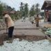 TIDAK MAKSIMAL. Proses pembangunan jalan cor di Desa Banjarsuri, Kecamatan Sidomulyo, Lampung Selatan, beberapa waktu lalu. Sayang hasil pembangunan kurang nagus karena jalan mulai keropos. (LAMPUNG POST/PERDHANA WIBYSONO)