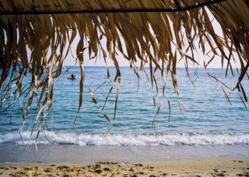 Ilustrasi. (LAMPUNG POST/PIXABAY)