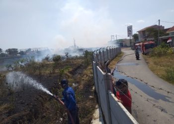 PADAMKAN API. Petugas pemadam kebakaran memadamkan api yang membakar lahan kering di Lampung Selatan. DOK DAMKAR LAMPUNG SELATAN