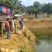 TINJAU KOLAM IKAN. Kadis Perikanan Lampura, Sanny Lumi, meninjau kolam masyarakat di beberapa kecamatan, belum lama ini. ISTIMEWA