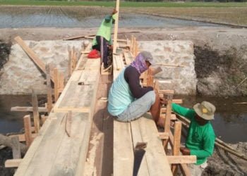 Pembinaan UMKM Bagian dari Pembangunan Desa